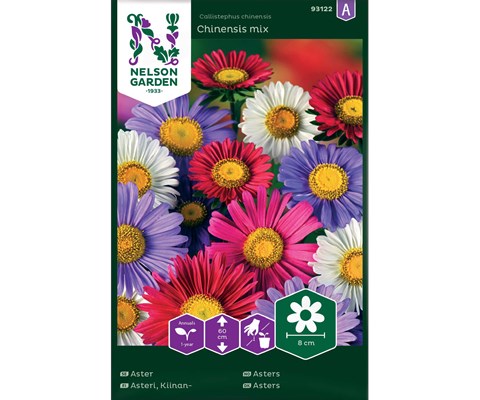 Frø asters Chinesis mix