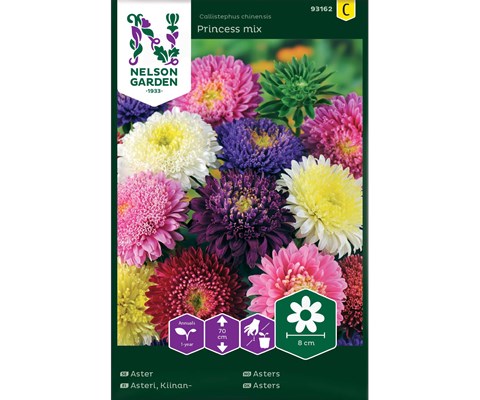 Frø asters Princess mix