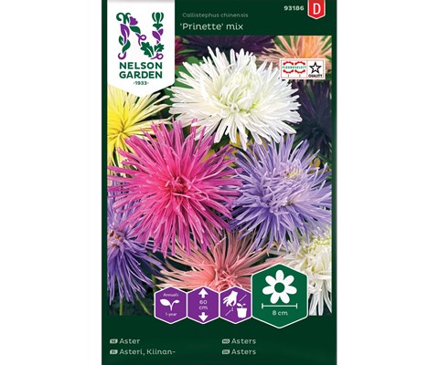 Frø asters Prinette mix