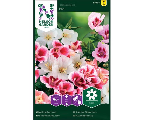 Frø sommerasalia Mix