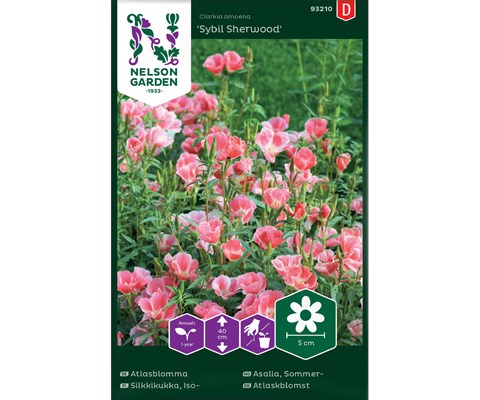 Frø sommerasalia Sybil Sherwood