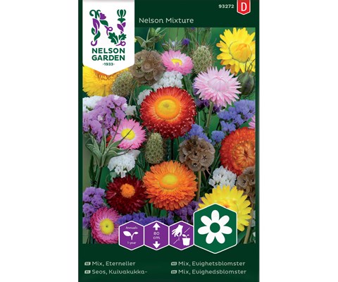 Frø evighetsblomster Nelson Mixture