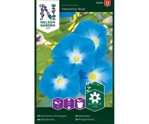 Frø ipomoea Heavenly Blue