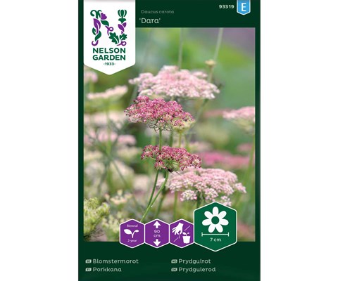 Frø prydgulrot Dara