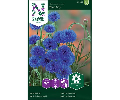 Frø kornblomst Blue Boy