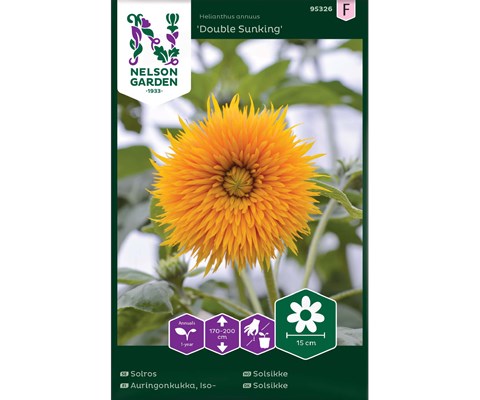 Frø solsikke Double Sunking