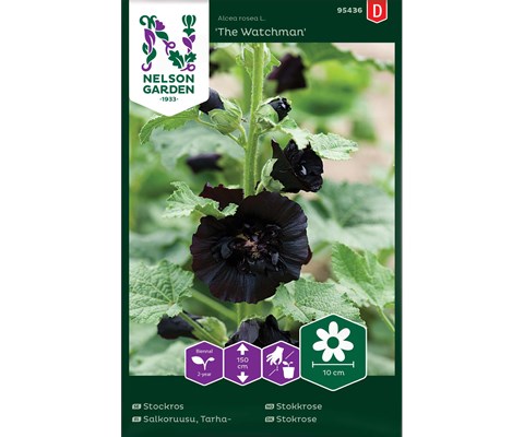 Frø stokkrose The Watchman