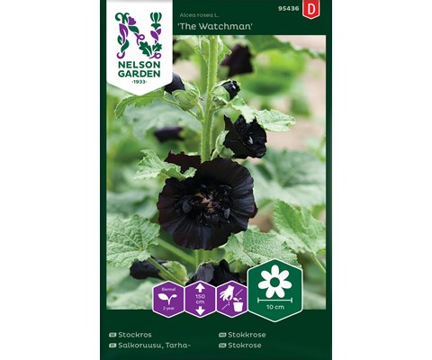 Frø stokkrose The Watchman