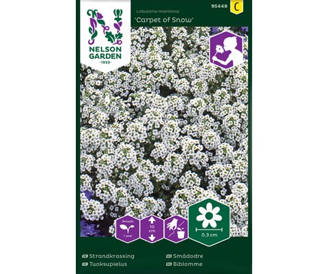 Frø smådodre Carpet of Snow