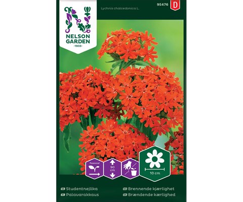 Frø brennende kjærlighet