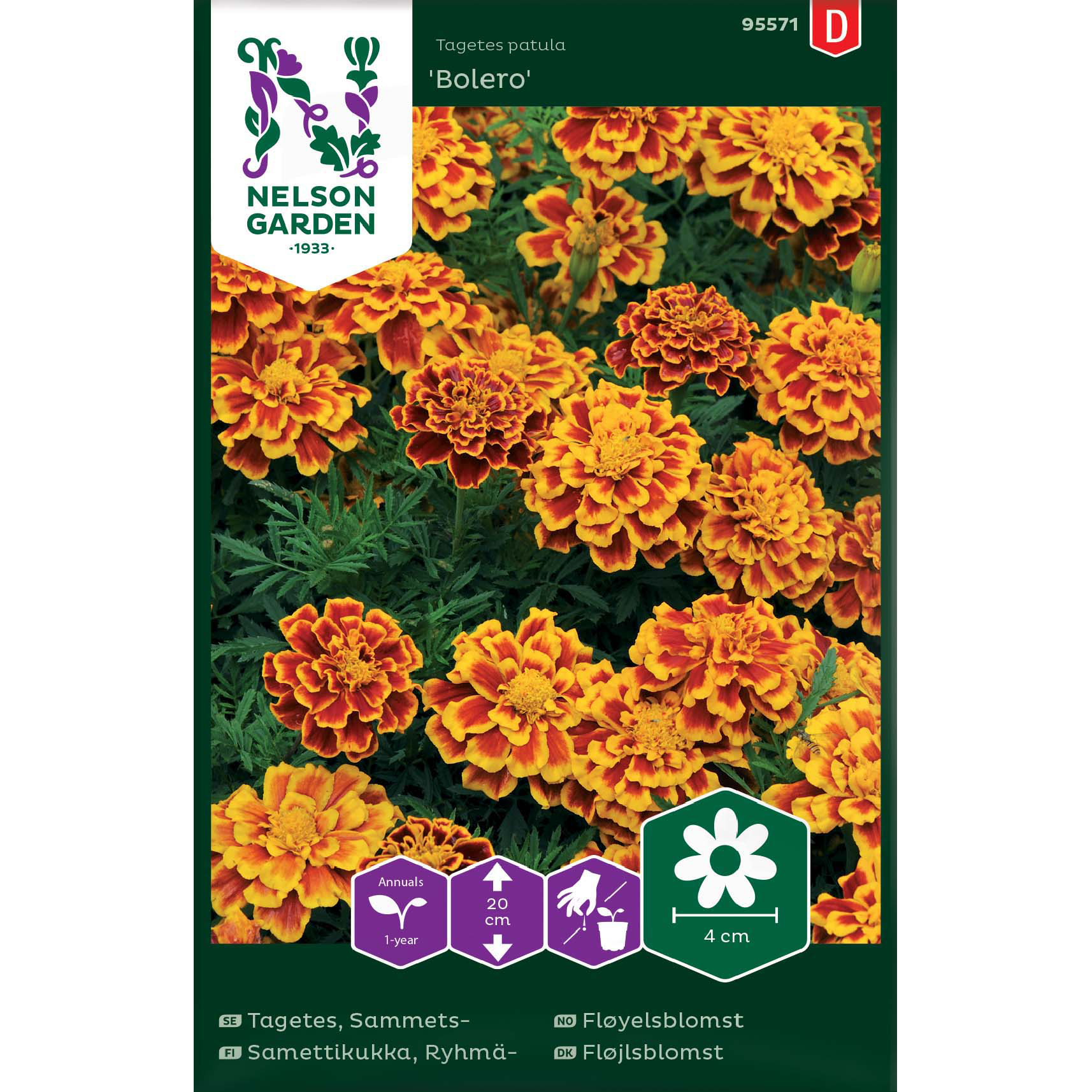 Frø Bolero fløyelsblomst