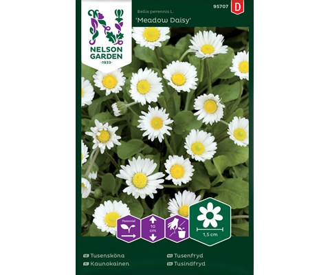 Frø tusenfryd Meadow Daisy