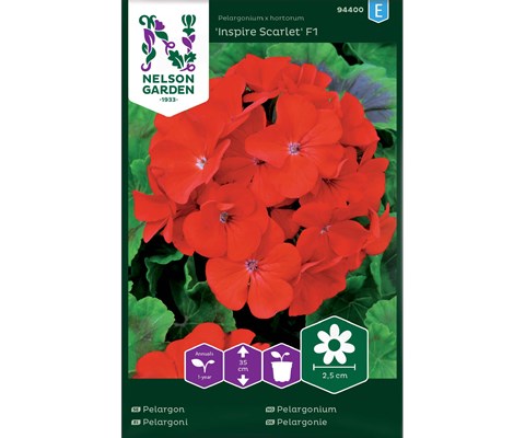Frø pelargonium Inspire Scarlet
