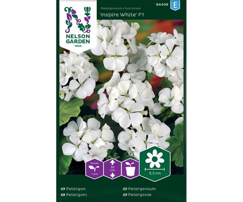 Frø pelargonium Inspire White