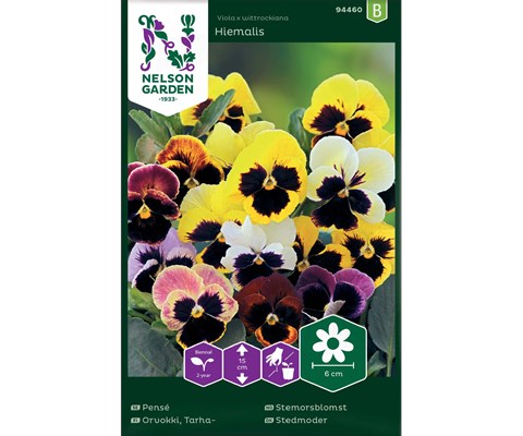 Frø stemorsblomst Hiemalis