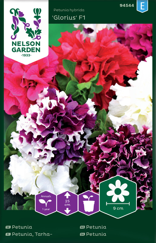 Frø Petunia Glorious F1 dobbel