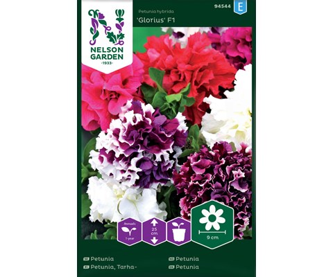 Frø petunia Glorious