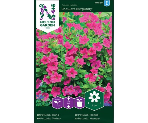 Frø hengepetunia Showers Burgundy
