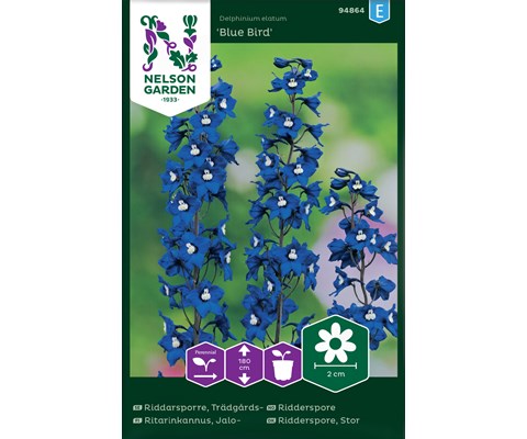 Frø ridderspore Blue Bird