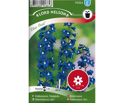 Frø ridderspore Blue Bird