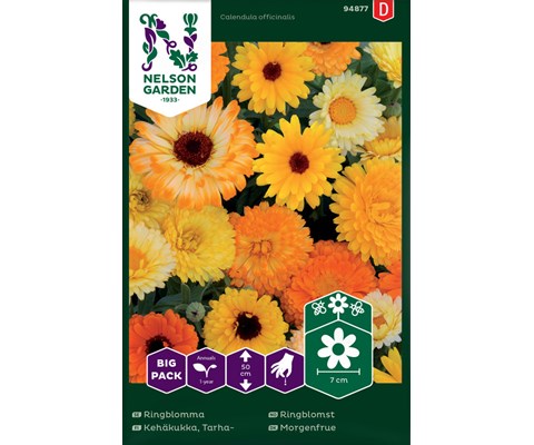 Frø ringblomst Big Pack