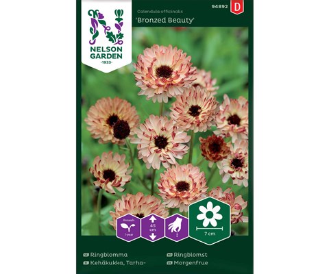 Frø ringblomst Bronzed Beauty