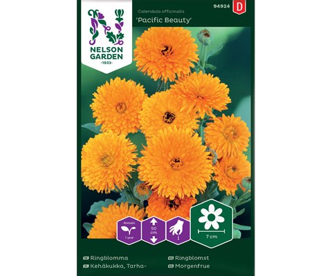 Frø ringblomst Pacific Beauty