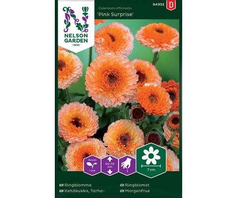 Frø ringblomst Pink Surprise