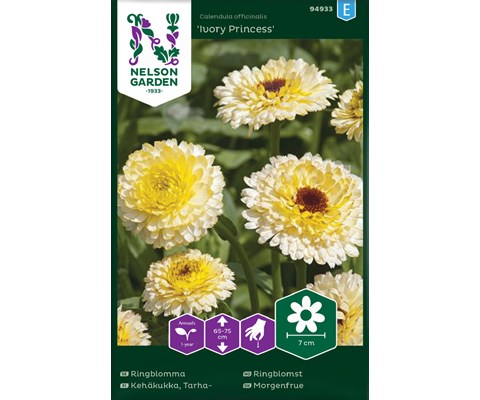 Frø ringblomst Ivory Princess