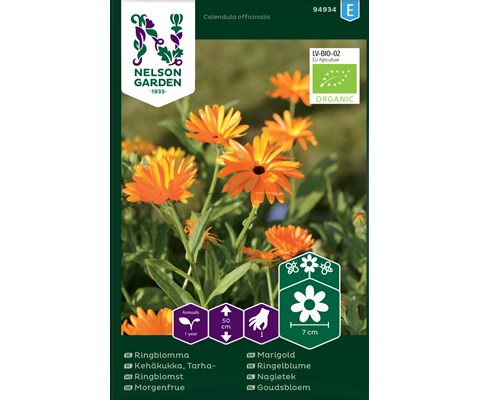 Frø ringblomst økologisk