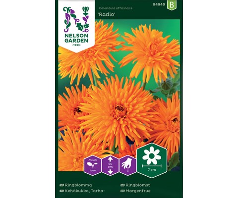 Frø ringblomst Radio