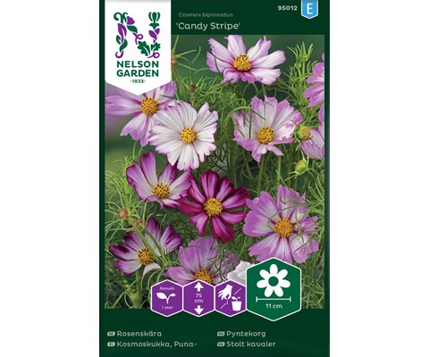 Frø pyntekorg Candy Stripe