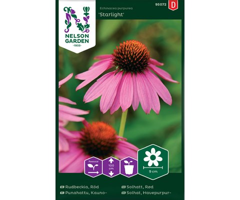 Frø rød solhatt Starlight