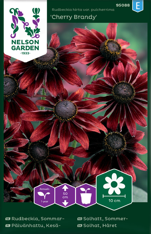 Frø sommersolhatt Cherry Brandy