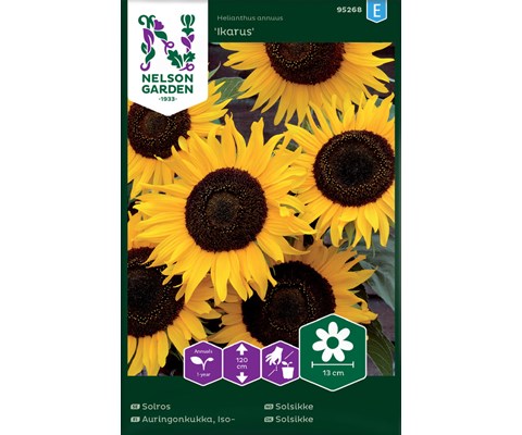 Frø solsikke Ikarus