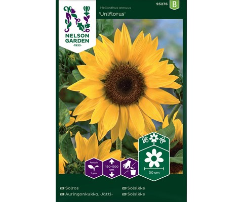 Frø solsikke Uniflorus