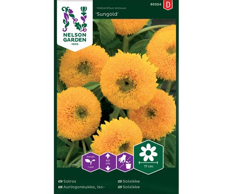 Frø solsikke Sungold