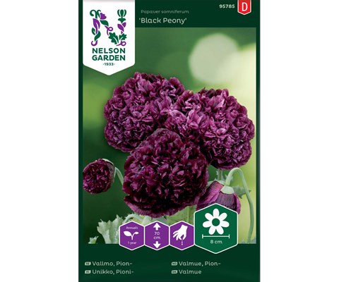 Frø pionvalmue Black Peony