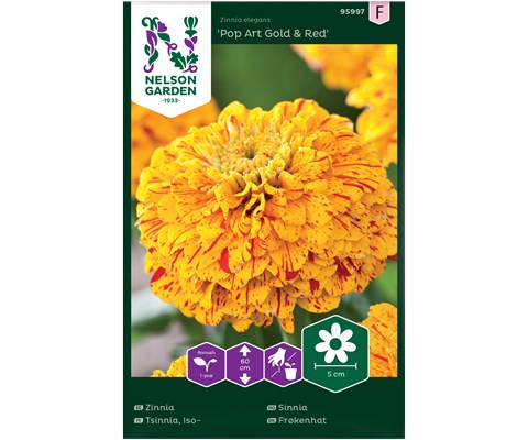 Frø sinnia Pop Art Gold & Red
