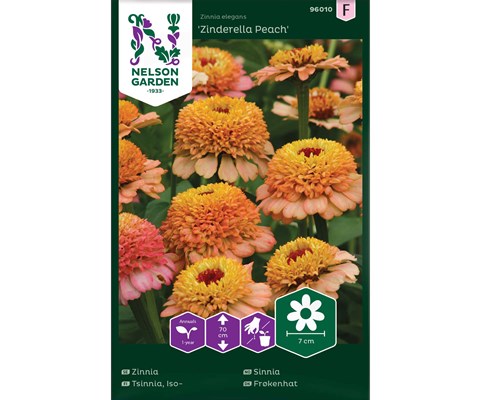 Frø sinnia Zinderella Peach