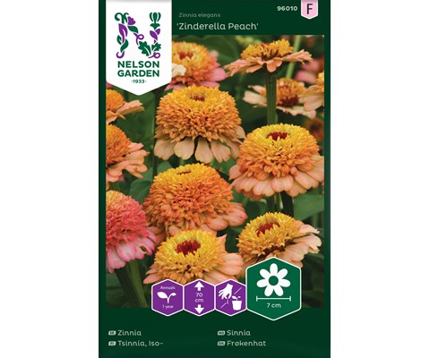 Frø sinnia Zinderella Peach
