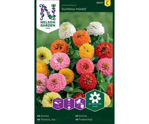 Frø sinnia Sunbow mixed