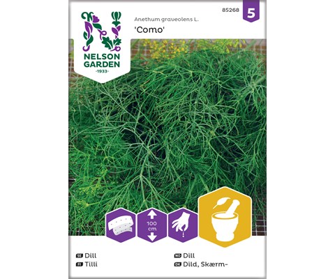 Frø dill Como såbånd