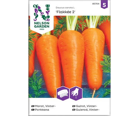 Frø vintergulrot Flakkée 2 såbånd