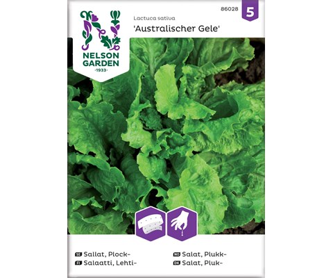 Frø plukksalat Australischer Gele