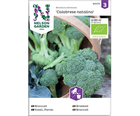 Frø brokkoli Calabrese natalino økologisk