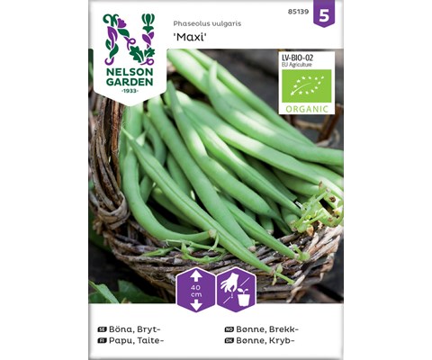 Frø brekkbønne Maxi økologisk