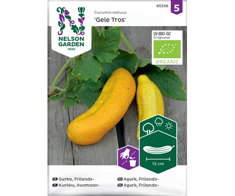 Frø frilandsagurk Gele Tros økologisk