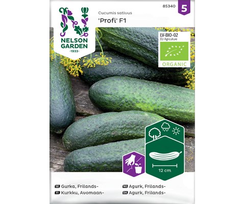 Frø frilandsagurk Profi økologisk