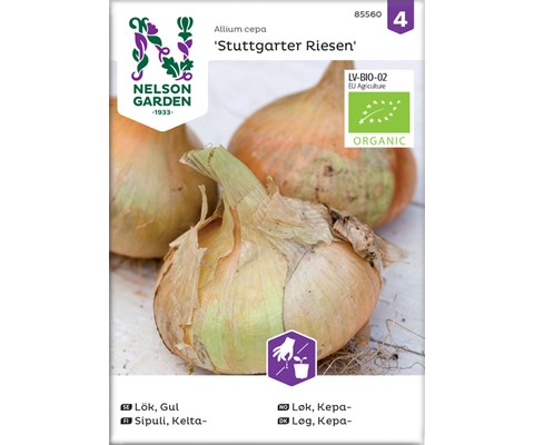 Frø kepaløk Stuttgarter Riesen økologisk